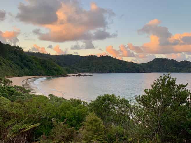 125C Sailors Grave Road, Pumpkin Hill, Tairua