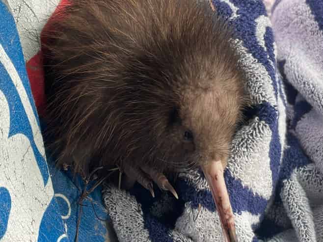 125C Sailors Grave Road, Pumpkin Hill, Tairua