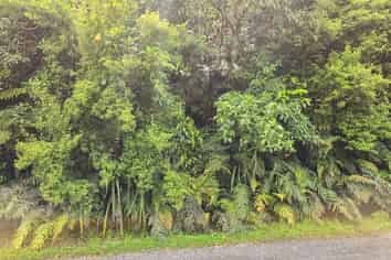 7 Rata Street, Stewart Island