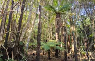7 Rata Street, Stewart Island