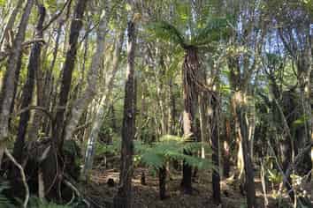 7 Rata Street, Stewart Island