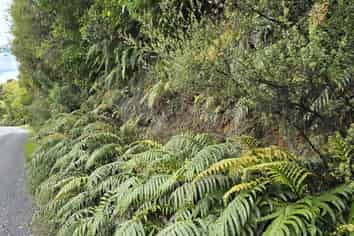 7 Rata Street, Stewart Island