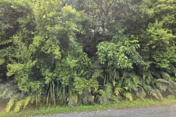 7 Rata Street, Stewart Island