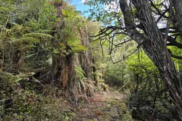 15 Excelsior Road, Stewart Island