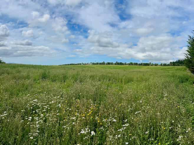 Lot 1, 226 Cramptons Bush Road, Amberley