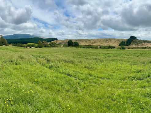 Lot 1, 226 Cramptons Bush Road, Amberley