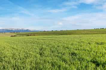 Lot 3 Hook School Road, Makikihi