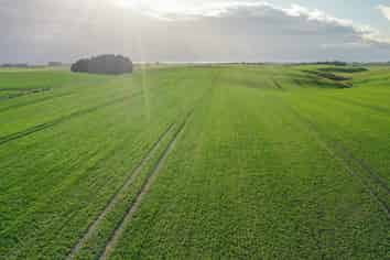 Lot 3 Hook School Road, Makikihi