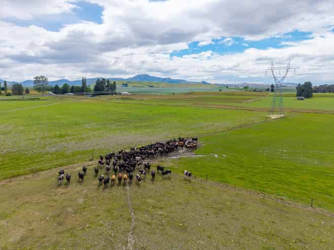 311 Hamilton Road, Fairlie