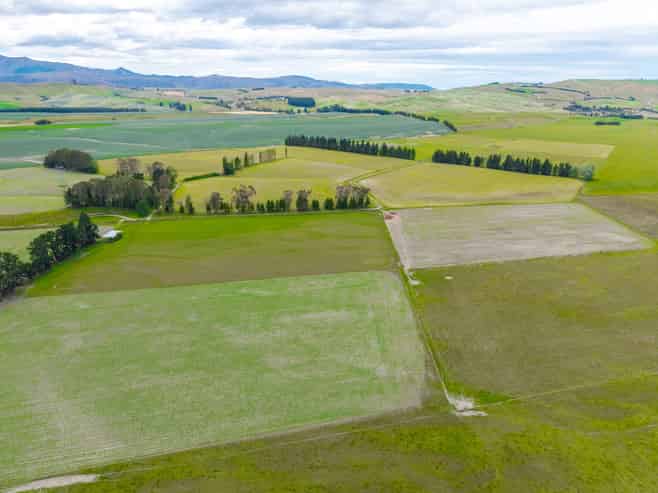 311 Hamilton Road, Fairlie