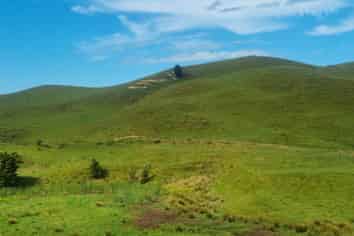  Okokako Road, Waimate North