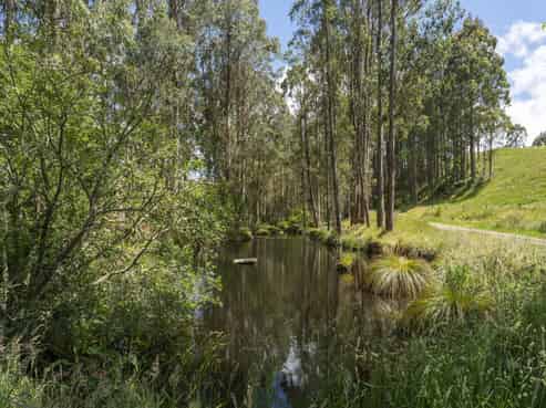 173A Otake Road, Kinloch