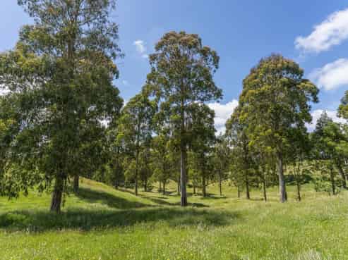 173A Otake Road, Kinloch