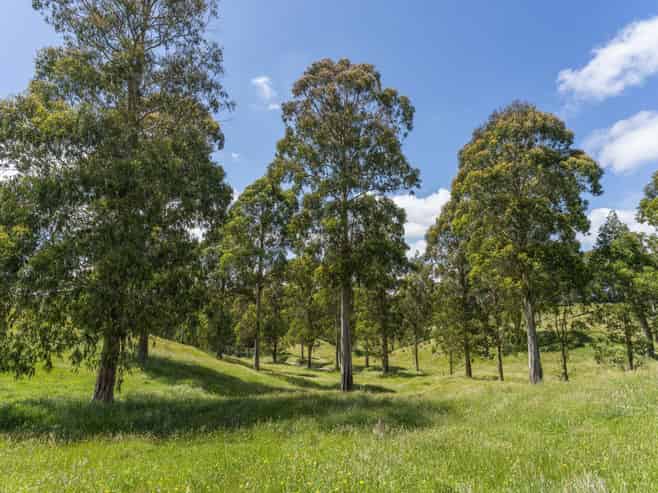 173A Otake Road, Kinloch