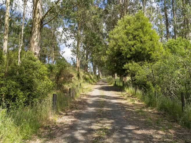 173A Otake Road, Kinloch