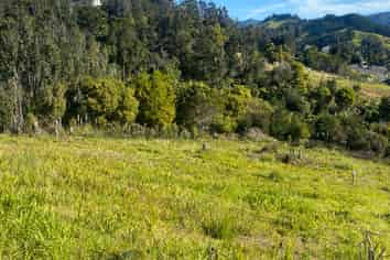 315 The Drive, Whangamata