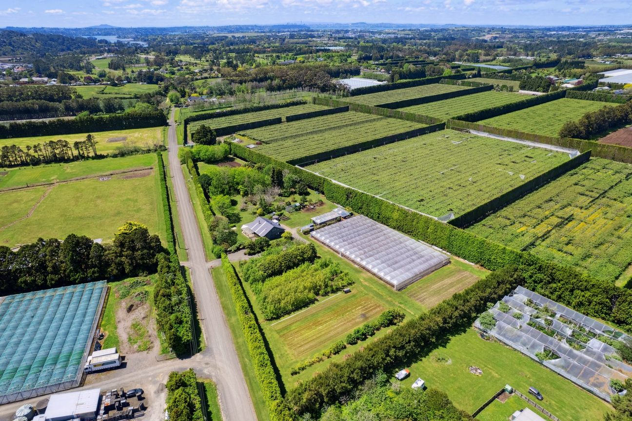 Stunning Lifestyle and Business Opportunity - Widok 2