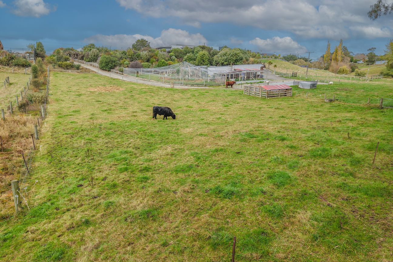 SOUGHT AFTER SECTION - Widok 3
