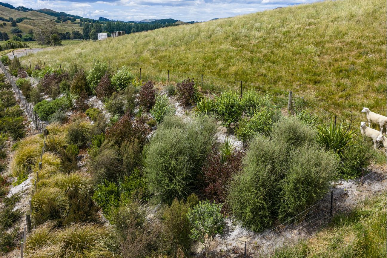 Price reduction, elevated rural lifestyle section - Widok 5