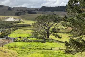 17 Kai Iwi Lakes Road, Dargaville