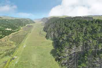 17 Kai Iwi Lakes Road, Dargaville