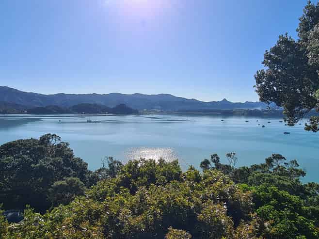 1999 Wyuna Bay Road, Coromandel