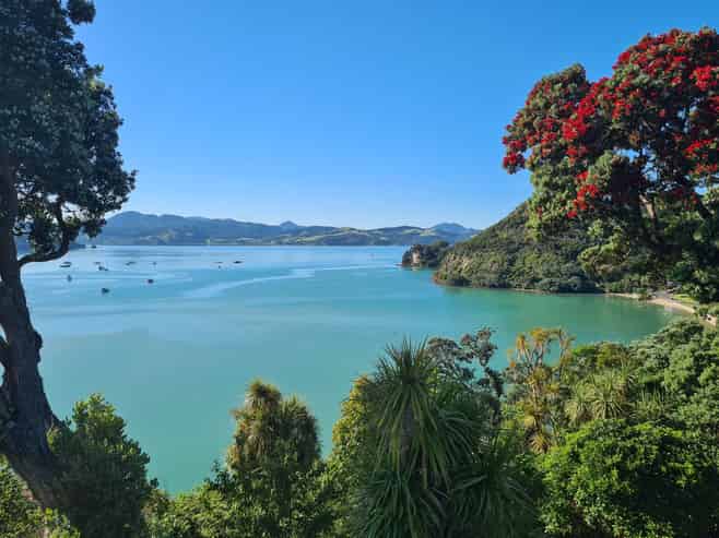 1999 Wyuna Bay Road, Coromandel