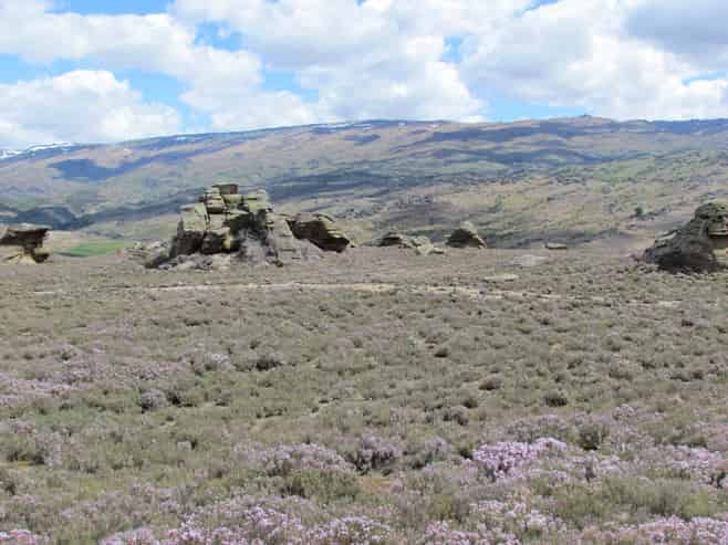  Tor Hill Road, Conroys Gully