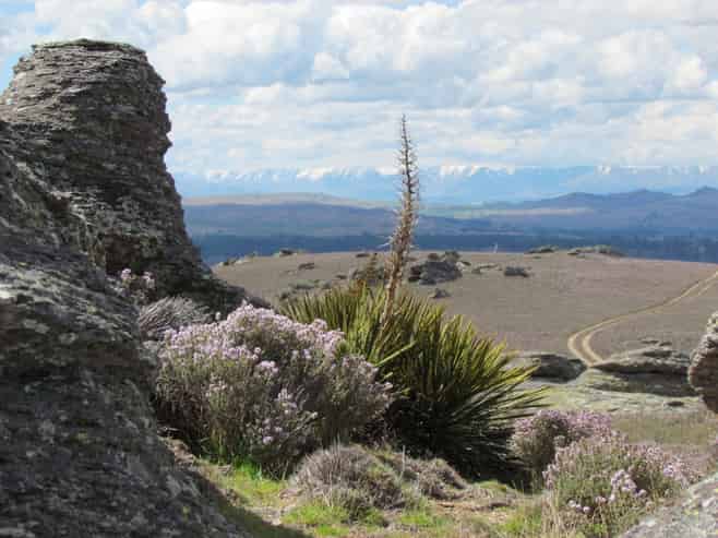  Tor Hill Road, Conroys Gully