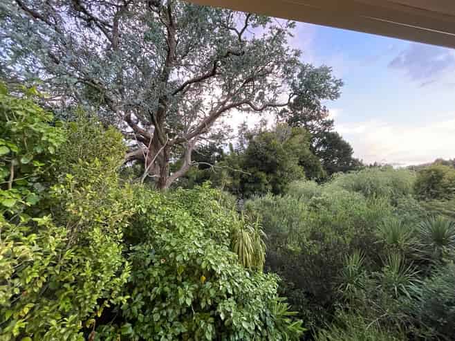 9 Palmer Avenue, Glen Eden