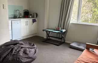 164B Hanson St, Newtown