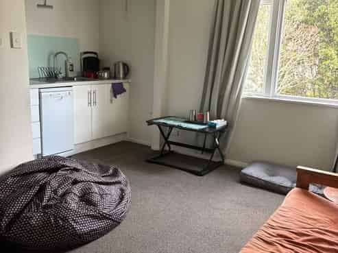 164B Hanson St, Newtown