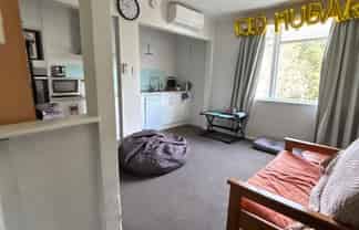 164B Hanson St, Newtown