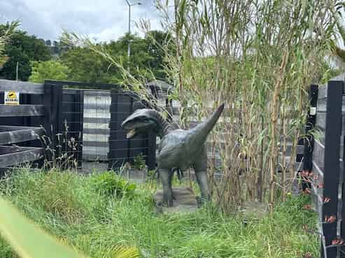 Unique NZ Dino Park & Entertainment Business