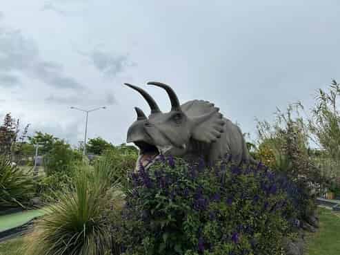 Unique NZ Dino Park & Entertainment Business