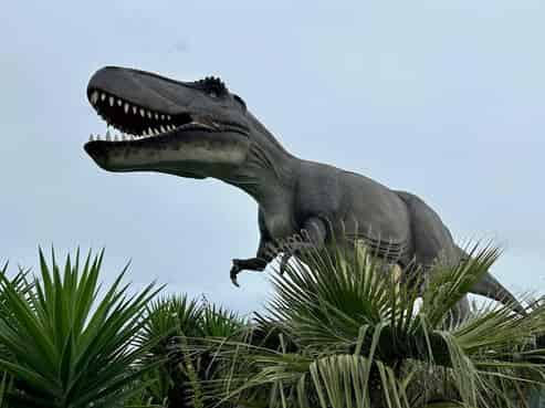 Unique NZ Dino Park & Entertainment Business