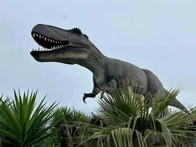 Unique NZ Dino Park & Entertainment Business