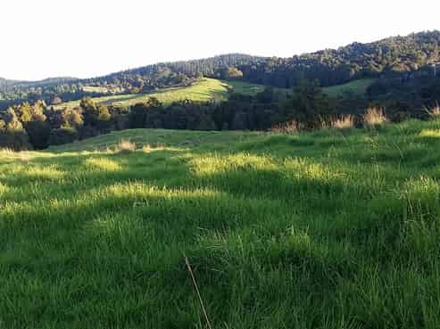 Lots 4,5,6 Taheke Road, Taheke