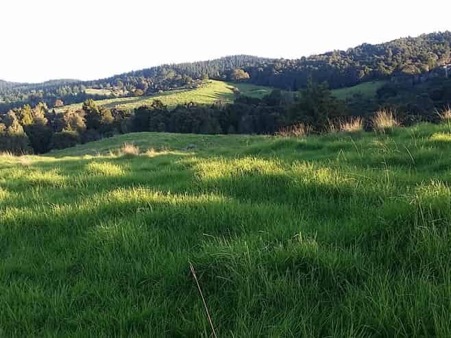 Lots 4,5,6 Taheke Road, Taheke