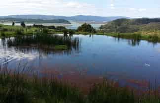 Lots 4,5,6 Taheke Road, Taheke