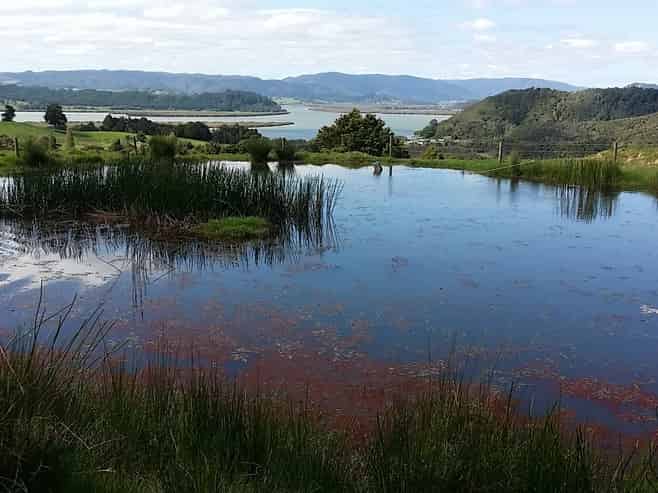 Lots 4,5,6 Taheke Road, Taheke