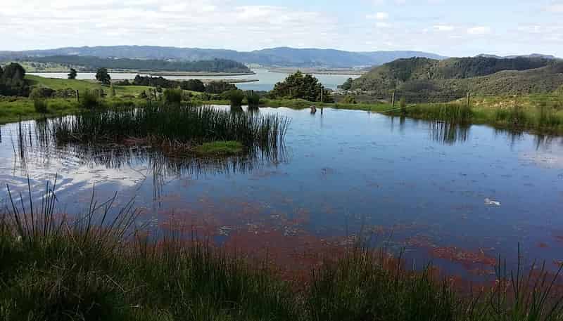 Lots 4,5,6 Taheke Road, Taheke