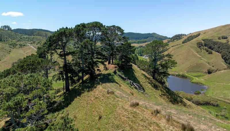 273 Wentworth Valley Road, Whangamata