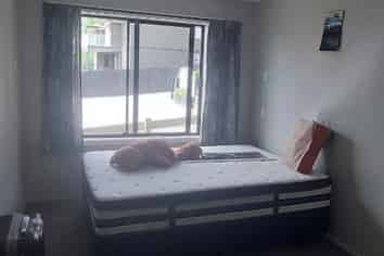 73B Gillies Avenue, Hilltop