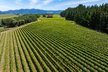 304 Dog Point Road, Hawkesbury