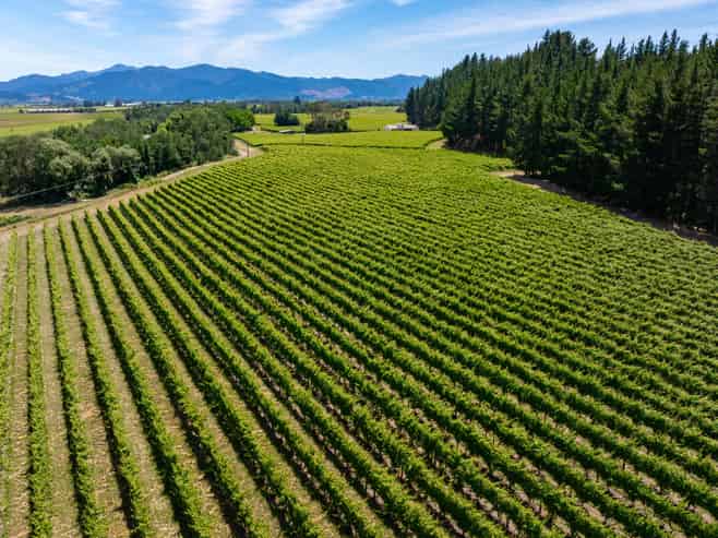 304 Dog Point Road, Hawkesbury