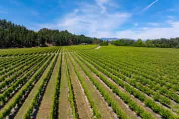 304 Dog Point Road, Hawkesbury