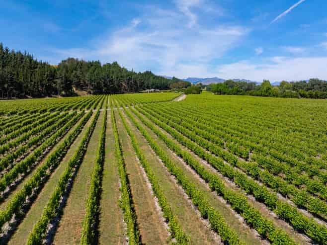 304 Dog Point Road, Hawkesbury