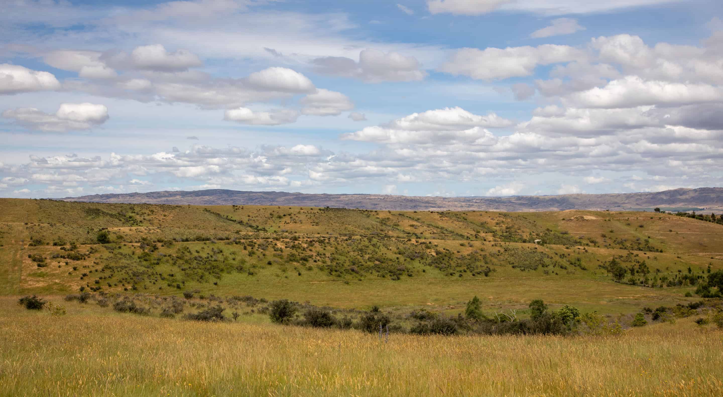 Nelson Ridge Estates Lot 34 Nelson Ridge Road, Alexandra, Central Otago - For Sale ...