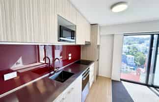 1605/111 Dixon Street, Wellington Central